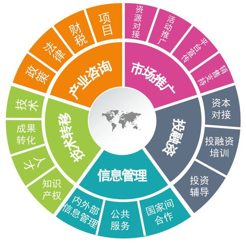 构建12345产业生态系统 以信息技术咨询打通政企链接的“最后一公里”